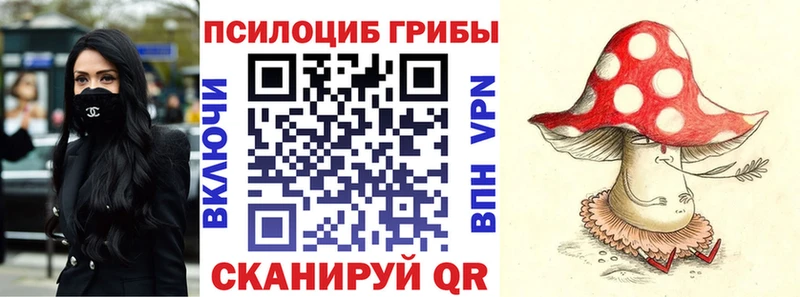 Псилоцибиновые грибы прущие грибы  darknet телеграм  Горняк 